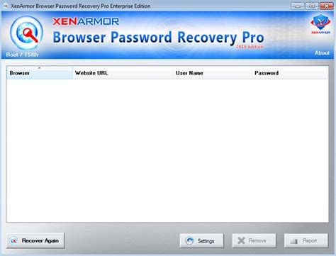 Complimentary update of Portable Browser Password Recovery Pro Sector Publication 3. 5